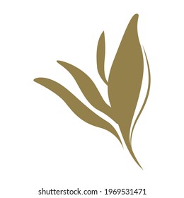 The leaf of a plant, flower or tree is green. Vector illustration on an isolated white background.