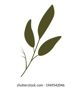 The leaf of a plant, flower or tree is green. Vector illustration on an isolated white background.