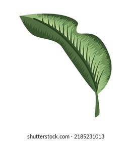 leaf plant folded nature icon