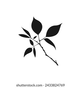 Leaf, plant. Foliage icon flat style isolated on white background. Vector illustration