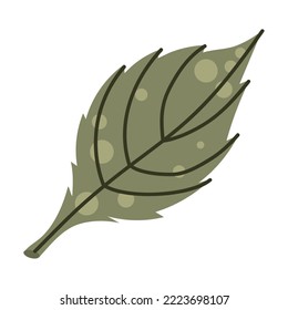 leaf plant foliage nature icon