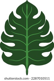 Leaf plant garden vector illustrations
