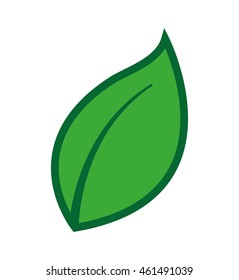 leaf plant green icon vector isolated graphic