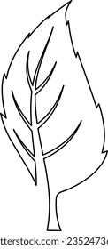 leaf, plant, green, illustration, isolated, nature, botany, tree, vector, 