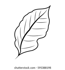 leaf plant icon image 