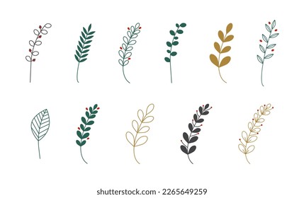 Leaf plant icon set. Foliage sprig sign. Twig laurel icon collection