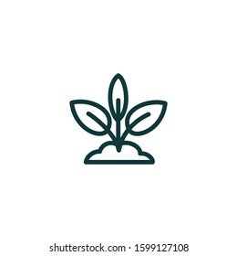 leaf plant icon vector design element