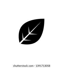 leaf plant icon vector illustration