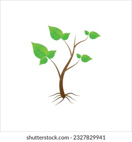 diseño de imagen vectorial de icono de planta de hoja