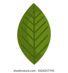 leaf plant isolated icon
