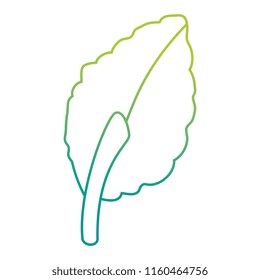 leaf plant isolated icon