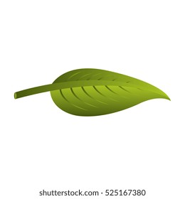leaf plant isolated icon