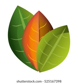leaf plant isolated icon