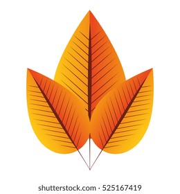 leaf plant isolated icon