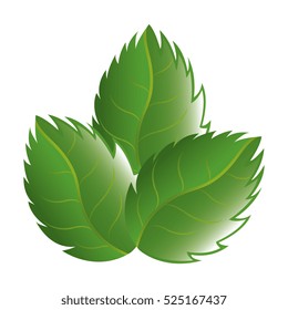 leaf plant isolated icon