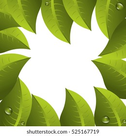 leaf plant isolated icon