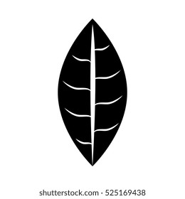 leaf plant isolated icon