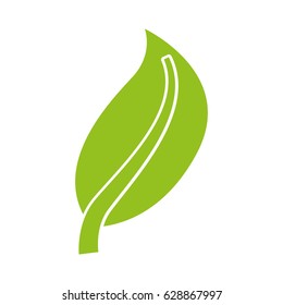 leaf plant isolated icon