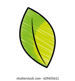 leaf plant isolated icon