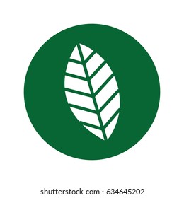 leaf plant isolated icon