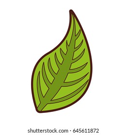 leaf plant isolated icon