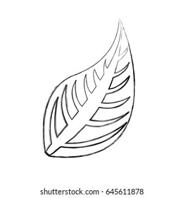 leaf plant isolated icon