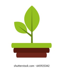 leaf plant isolated icon