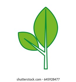 leaf plant isolated icon