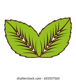 leaf plant isolated icon