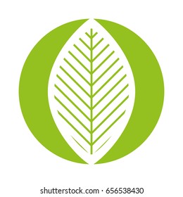 leaf plant isolated icon