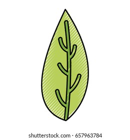 leaf plant isolated icon