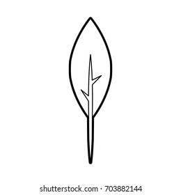 leaf plant isolated icon