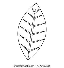 leaf plant isolated icon