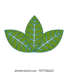 leaf plant isolated icon