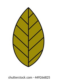 leaf plant isolated icon design