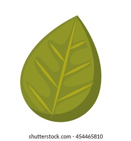 leaf plant isolated icon design, vector illustration  graphic 