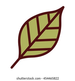 leaf plant isolated icon design, vector illustration  graphic 