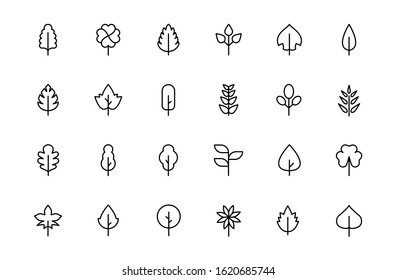 Leaf plant line icon set. Geometric minimalist linear natural eco leaves, modern abstract tree design. Vector leaf logo collection