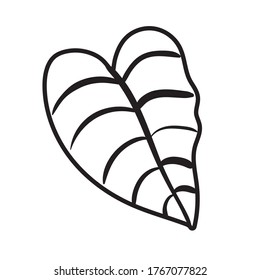 leaf plant line style icon vector illustration design