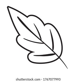 leaf plant line style icon vector illustration design