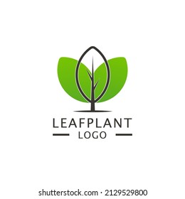 plantilla de diseño de logotipo de planta hoja