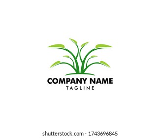 Leaf plant logo template, nature illustration for logo design