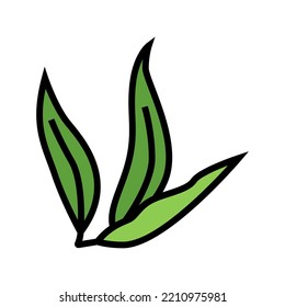 vectores de iconos de color de mango de planta hoja. señal de mango de planta hoja. ilustración de símbolo aislado