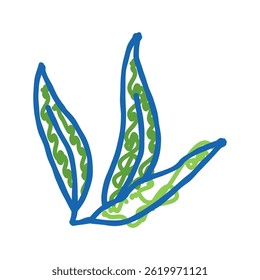 leaf plant mango doodle icon sketch vector. leaf plant mango sign. isolated symbol illustration