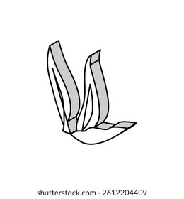leaf plant mango isometric icon vector. leaf plant mango sign. isolated symbol illustration