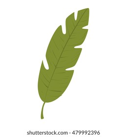leaf plant natural sheet