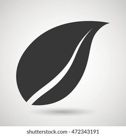 leaf plant natural sheet vector illustration design
