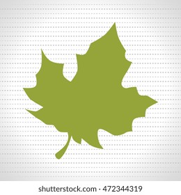 leaf plant natural sheet vector illustration design