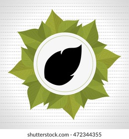 leaf plant natural sheet vector illustration design