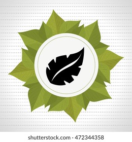 leaf plant natural sheet vector illustration design